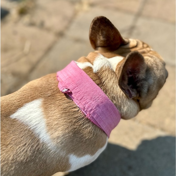 Upcycled - Dog Collar Accessory - Pink Rainbow Patch - one of a Kind - Dress up - Picture 5 of 9